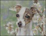 (image for) Trixie